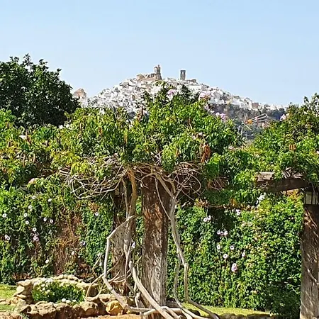 La Del Duende Pensión 3*