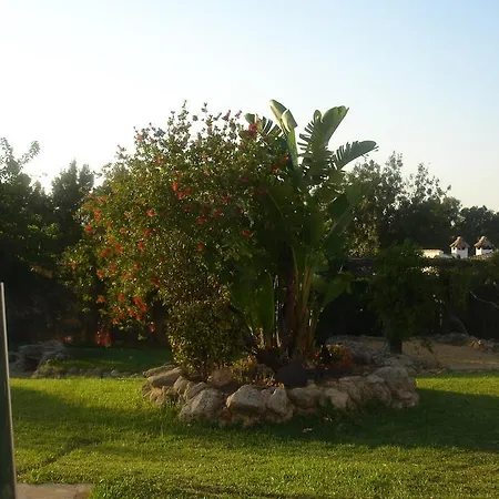 Guest house La Del Duende