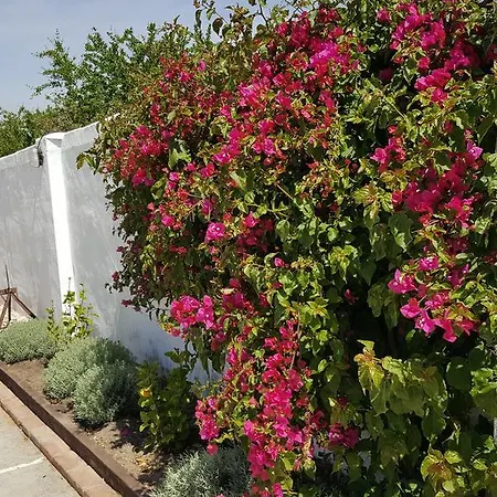 La Del Duende Pensión Arcos de la Frontera