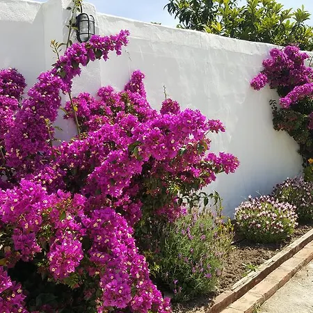 La Del Duende Guest house