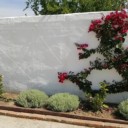 Pensión La Del Duende Arcos de la Frontera